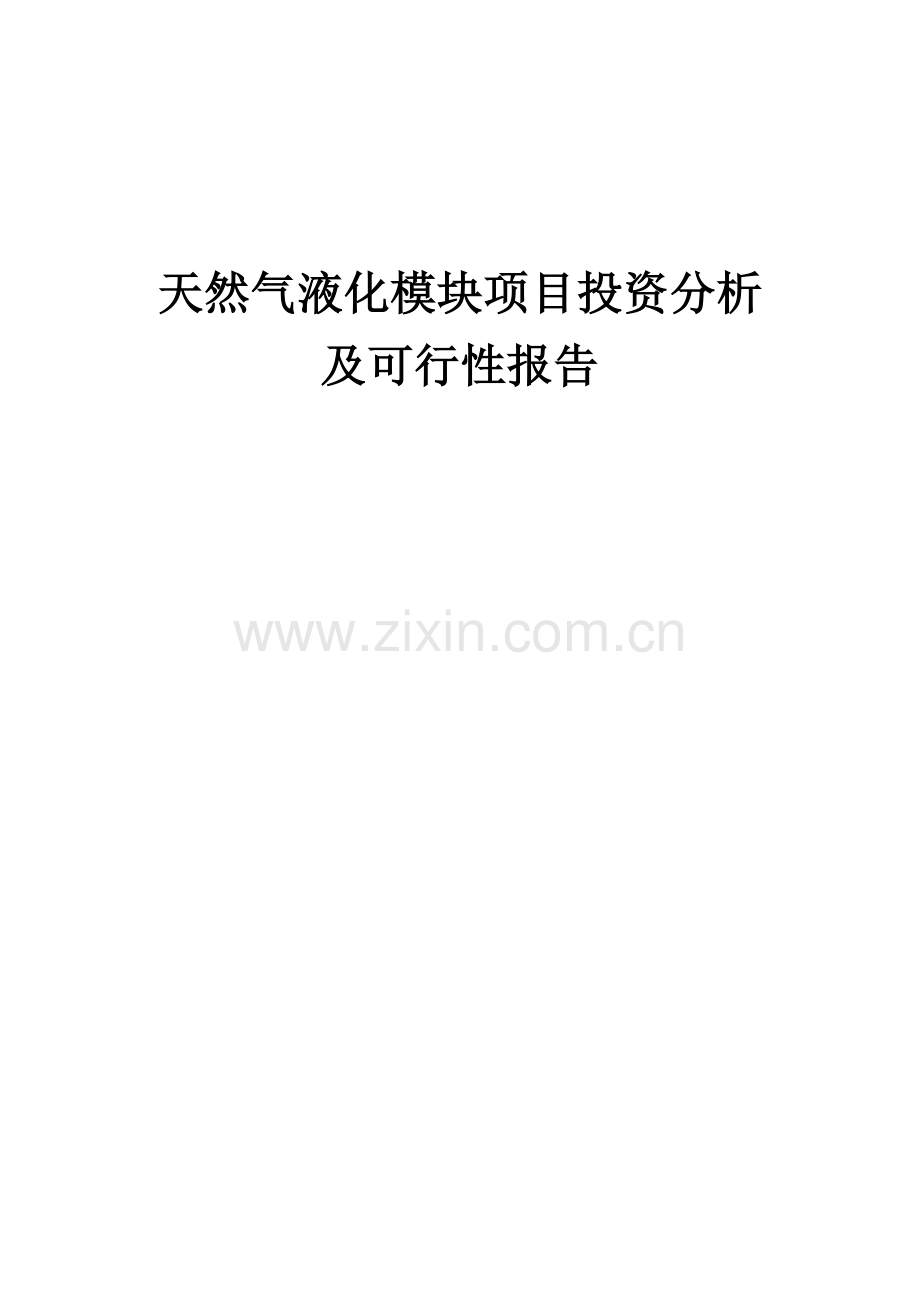 天然气液化模块项目投资分析及可行性报告.docx_第1页
