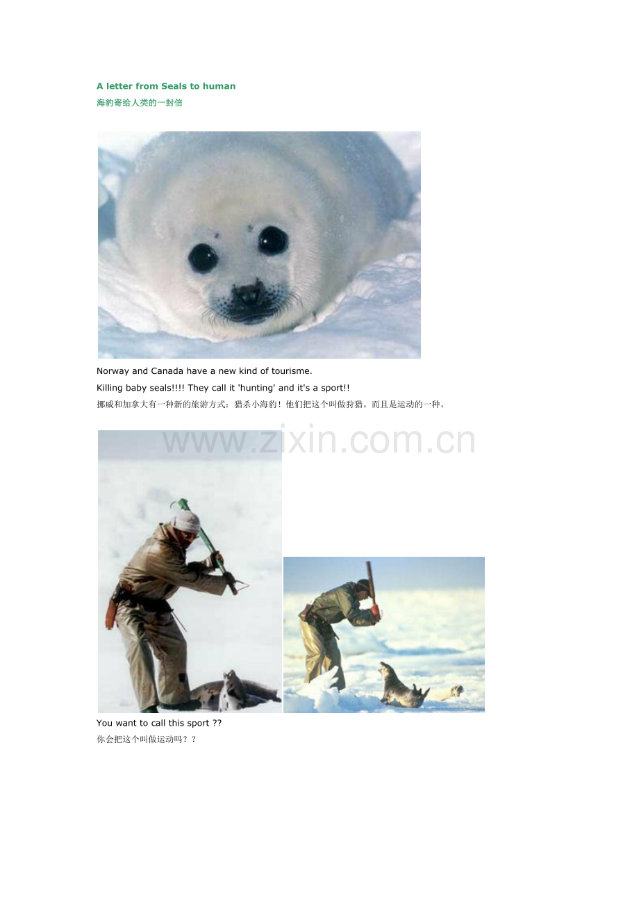 海豹寄给人类的一封信.doc_第1页