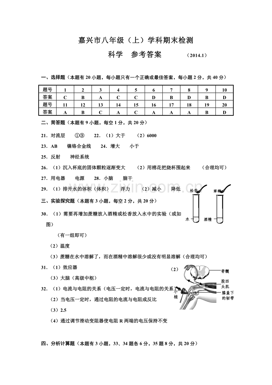 八年级（上）科学参考答案.doc_第1页