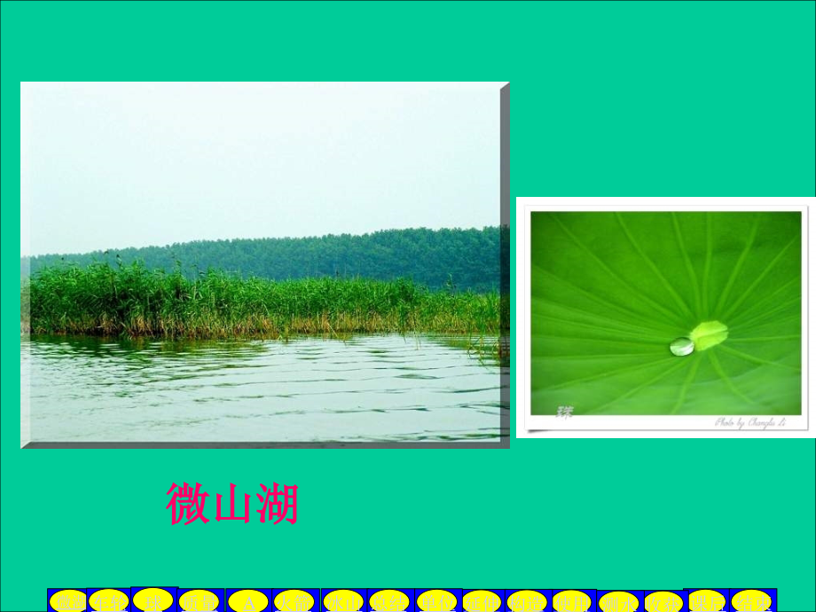 粤沪版八上51《物体的质量》课件.ppt_第2页