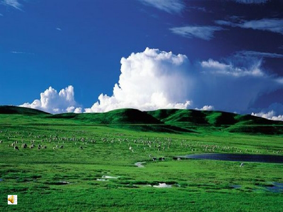 初中二年级语文上册第五单元原野放歌10静默草原第一课时课件.ppt_第1页