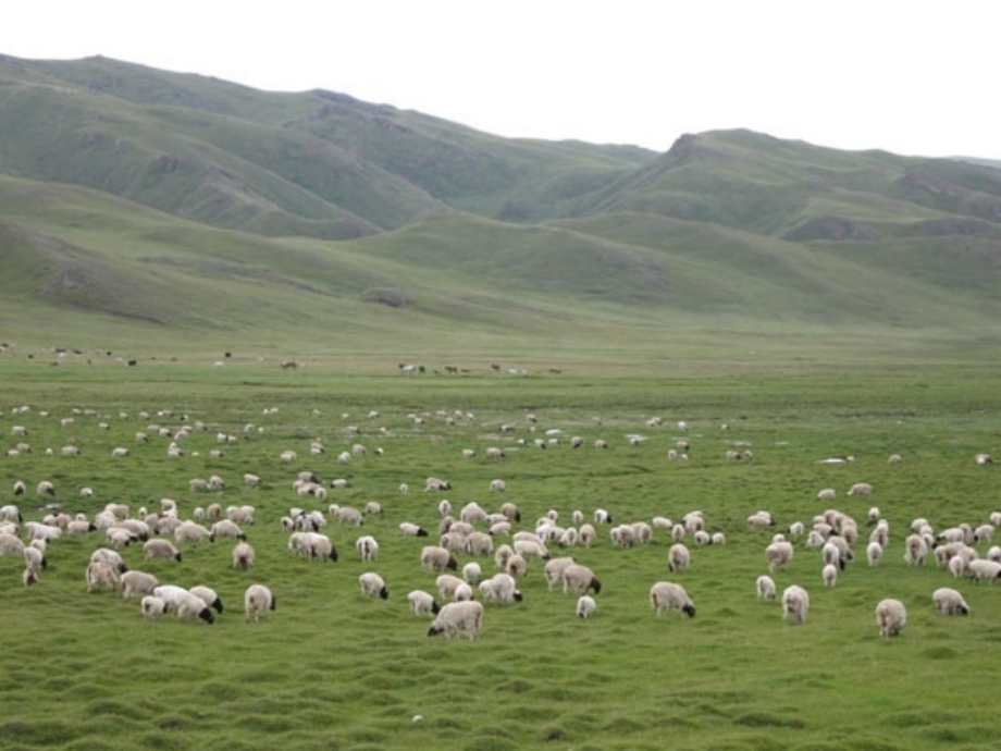 初中二年级语文上册第五单元原野放歌10静默草原第一课时课件.ppt_第2页