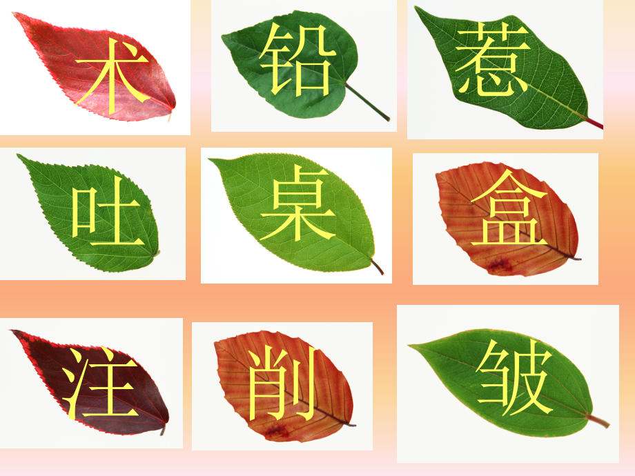 《蓝树叶》PPT课件(1).ppt_第2页