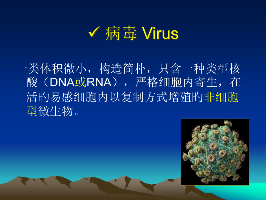 有包膜病毒.pptx_第2页