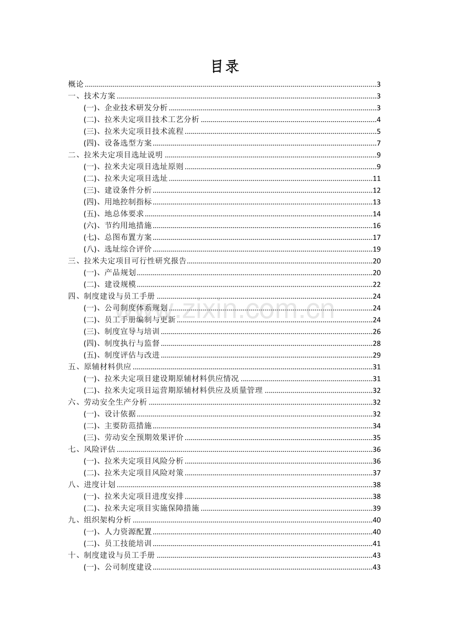拉米夫定项目深度研究分析报告.docx_第2页