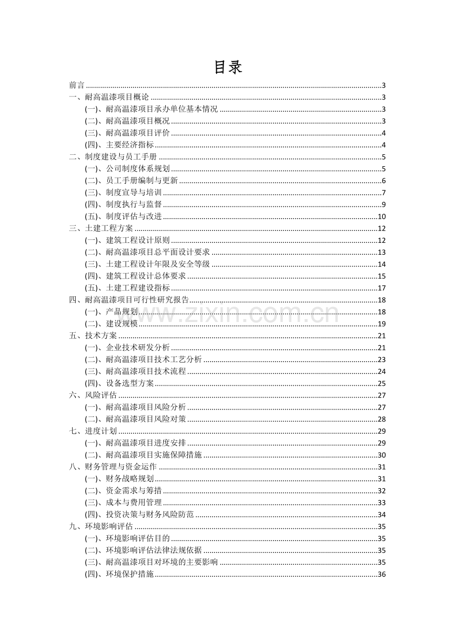 耐高温漆项目可行性研究报告.docx_第2页