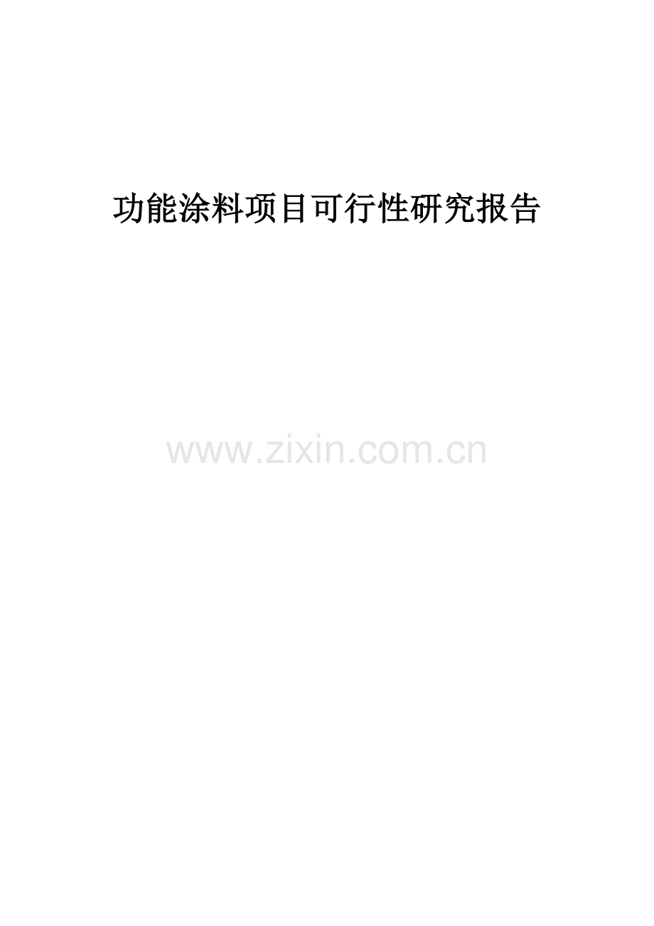 功能涂料项目可行性研究报告.docx_第1页