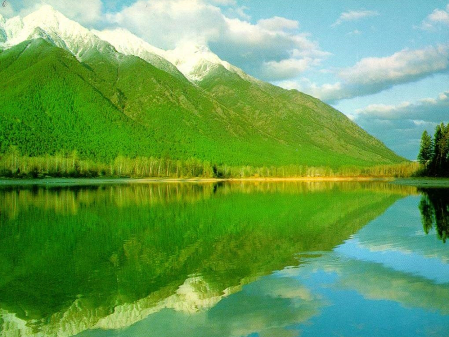 北师大版数学倒数课件.ppt_第2页