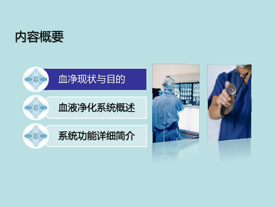 血液透析管理系统.pptx_第2页