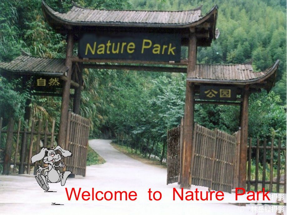 复件PEP五年级上册英语第六单元第一课时课件.ppt_第2页