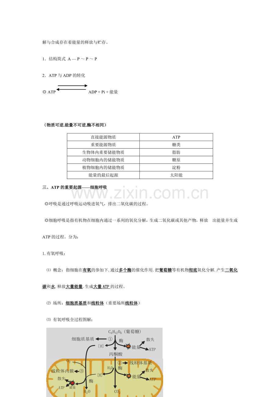 2024年高中生物必修一细胞的能量供应和利用知识点.doc_第2页