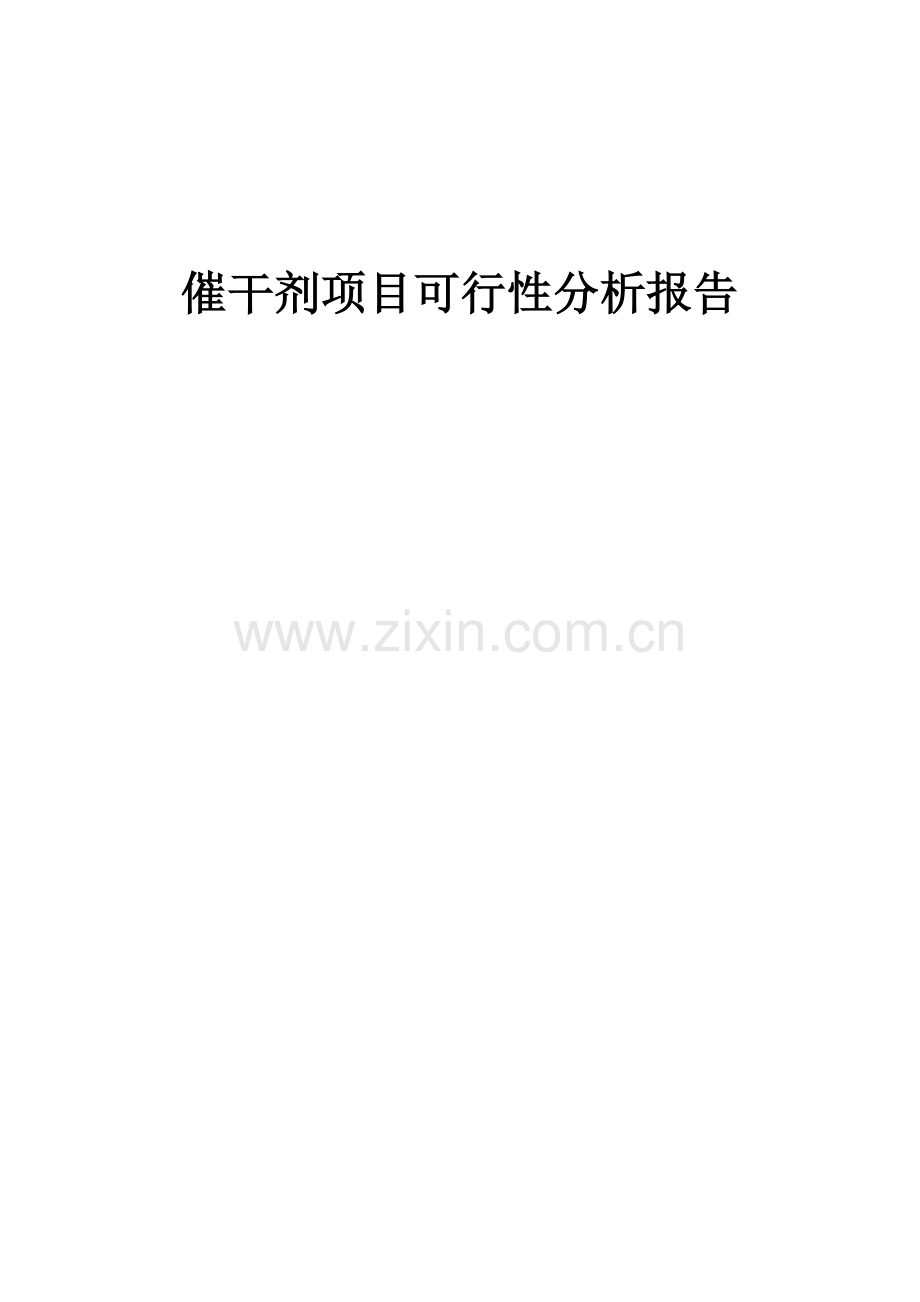 催干剂项目可行性分析报告.docx_第1页
