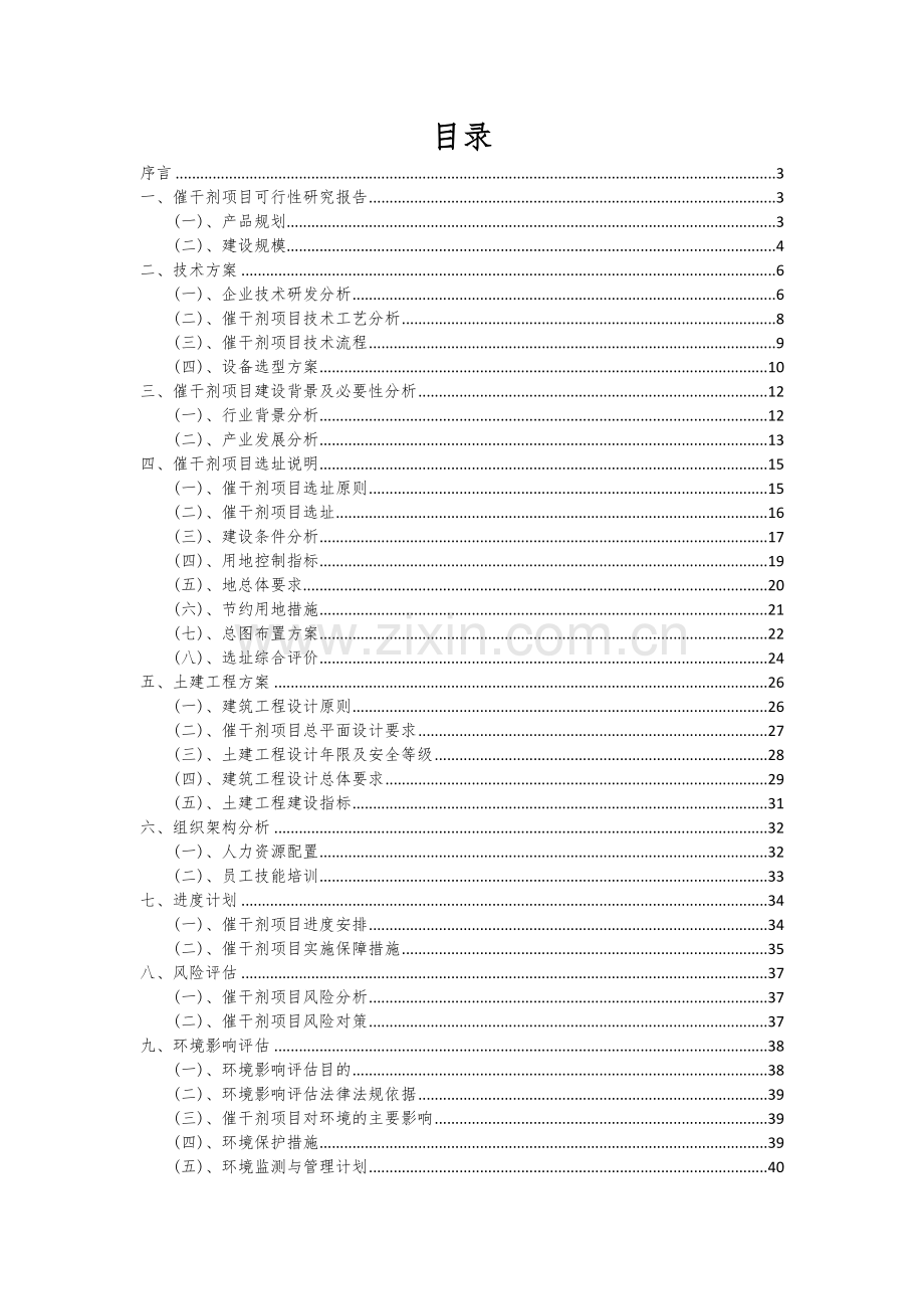 催干剂项目可行性分析报告.docx_第2页