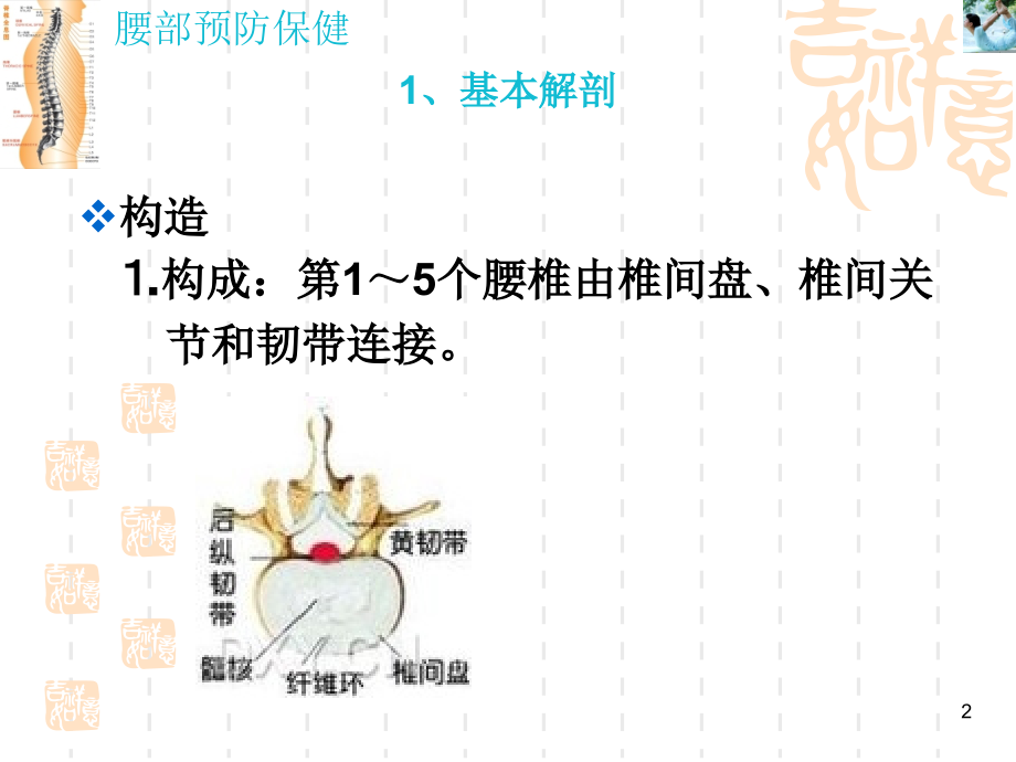 腰部保健预防.ppt_第2页