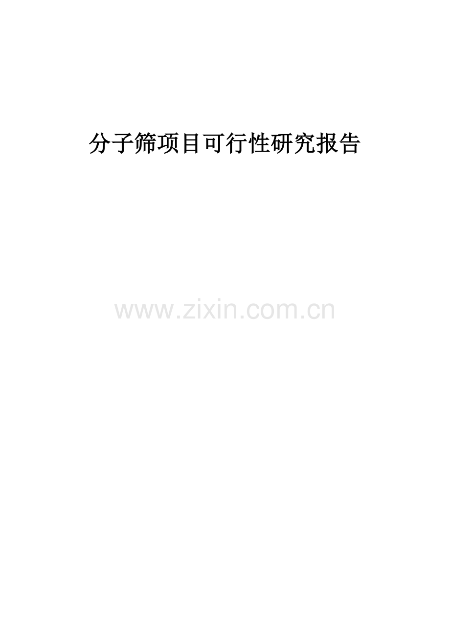 分子筛项目可行性研究报告.docx_第1页