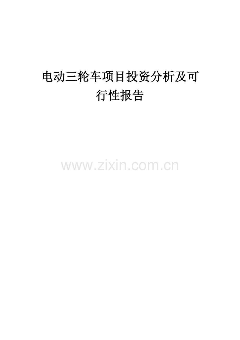 电动三轮车项目投资分析及可行性报告.docx_第1页