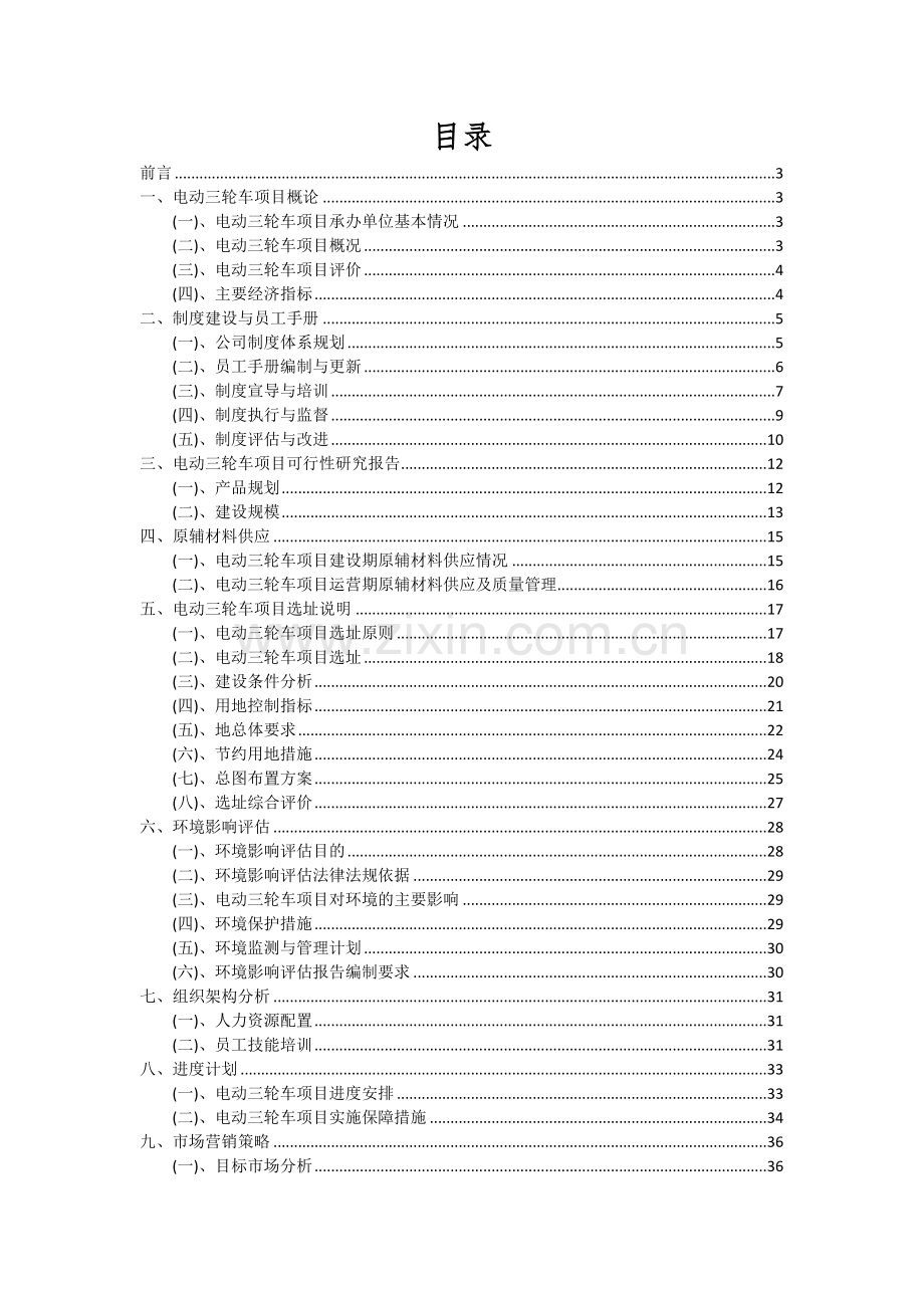 电动三轮车项目投资分析及可行性报告.docx_第2页