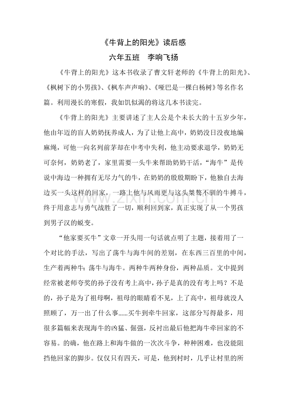 永吉县岔路河镇中心小学高年级组-李响飞扬.docx_第1页
