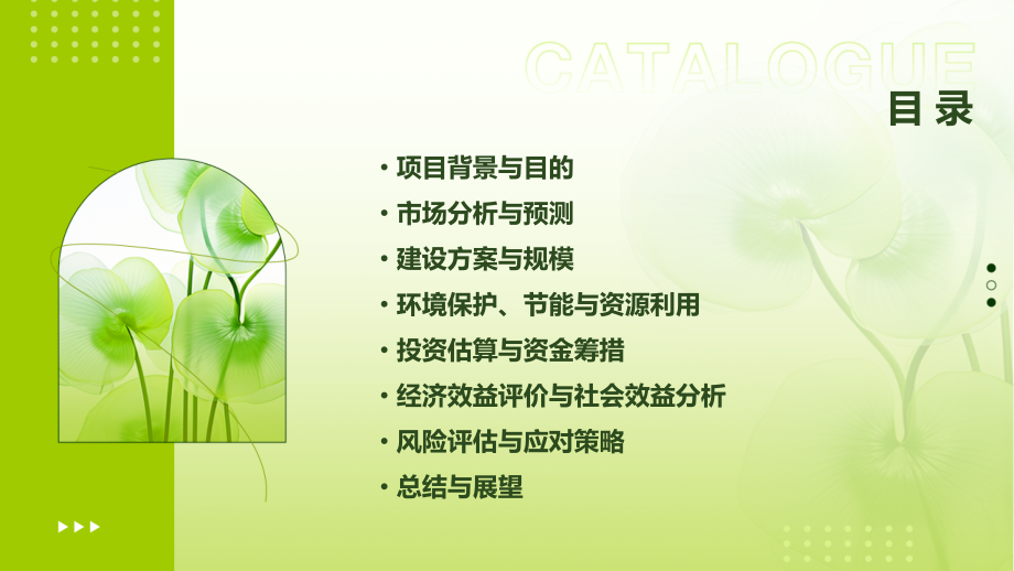 衡水+可行性报告.pptx_第2页