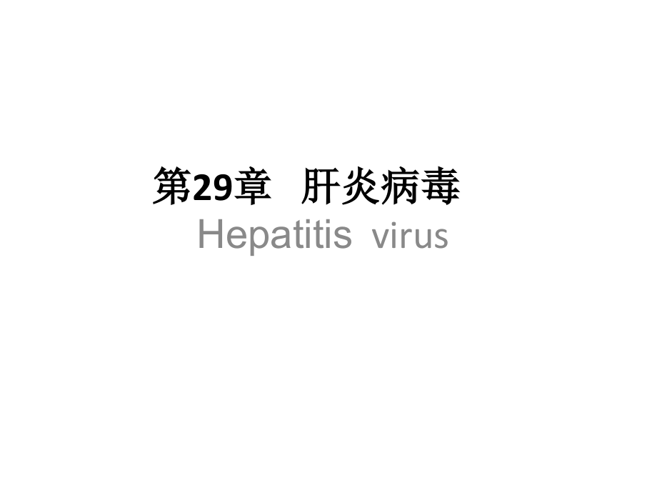 肝炎病毒专题知识讲座.pptx_第1页