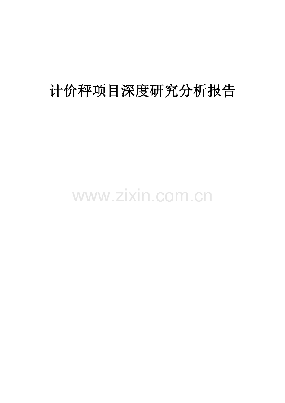 计价秤项目深度研究分析报告.docx_第1页