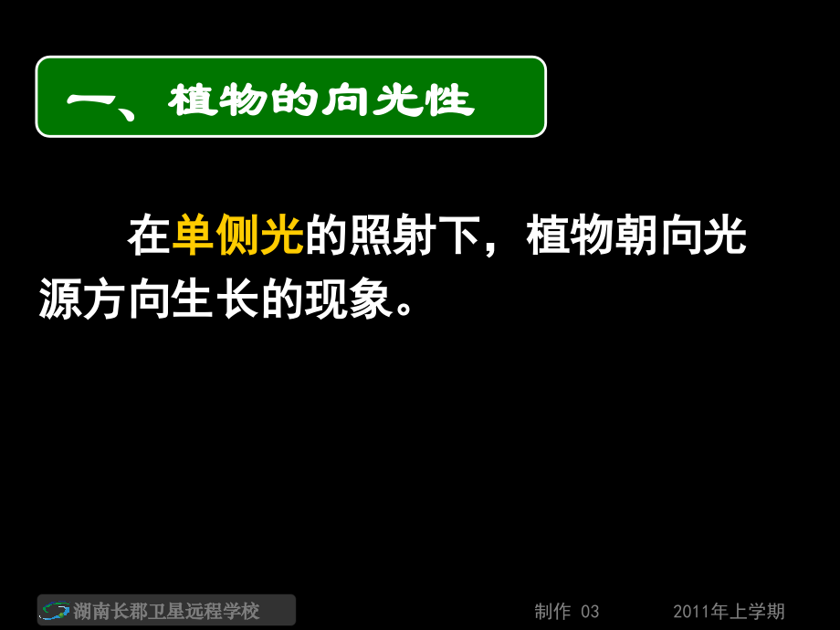 生长素的发现(课件).ppt_第2页