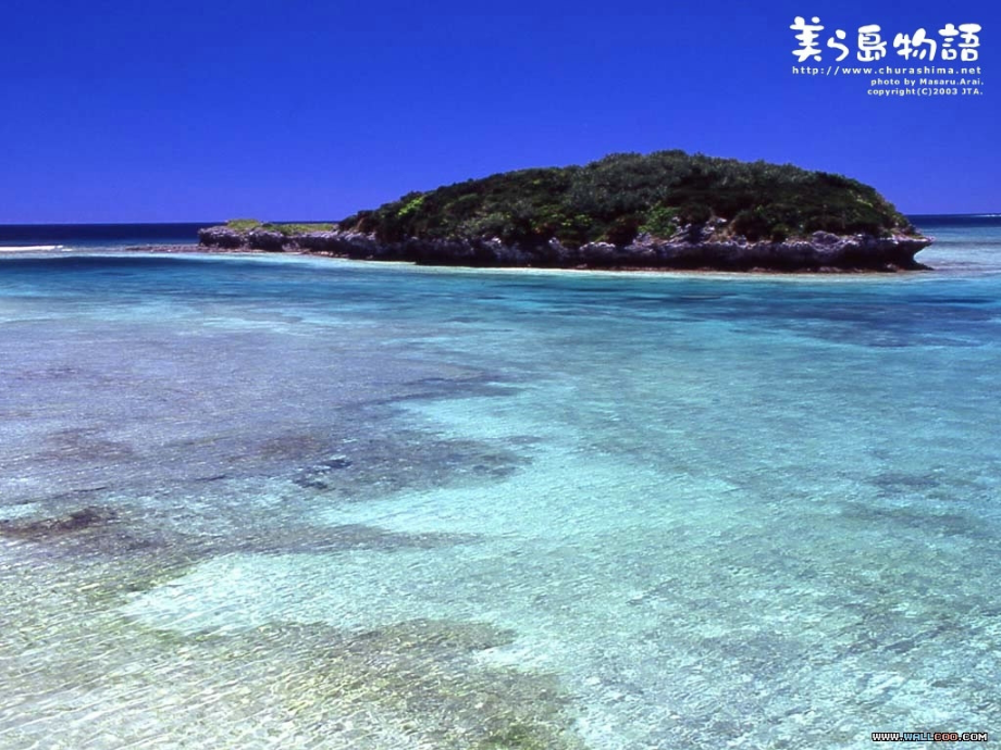 第28课《浅水洼里的小鱼》.ppt_第1页