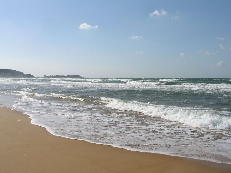 第28课《浅水洼里的小鱼》.ppt_第2页