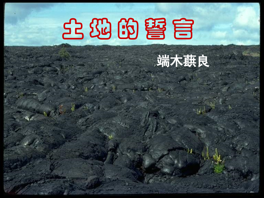 《土地的誓言》优秀课件(推荐).ppt_第2页