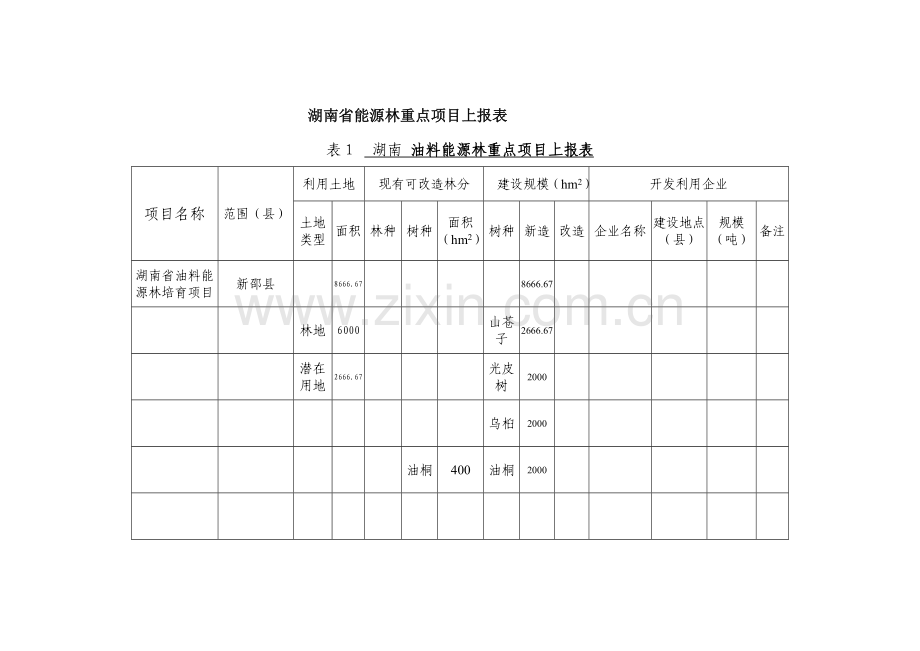湖南省能源林重点项目上报表[新邵].doc_第1页
