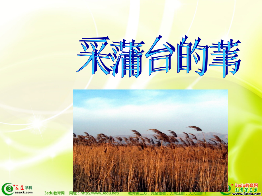 采蒲台的苇课件.ppt_第1页