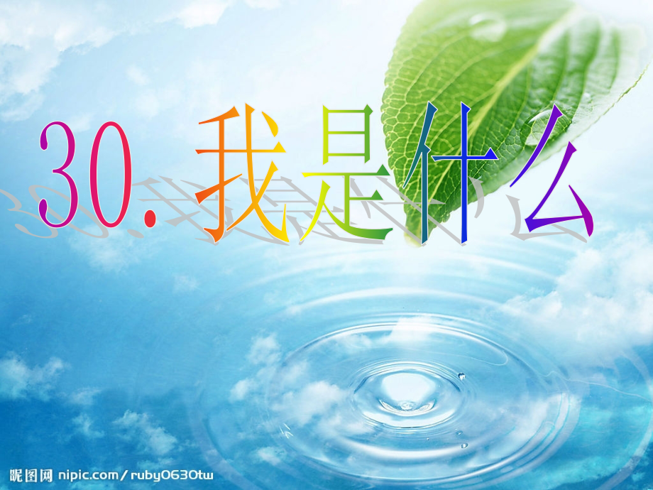 好30《我是什么》课件.ppt_第1页