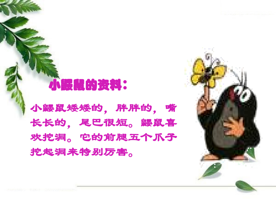 一年级上-小松鼠找花生.ppt_第2页