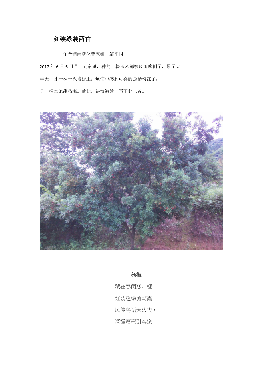 红装绿装古诗两首.docx_第1页