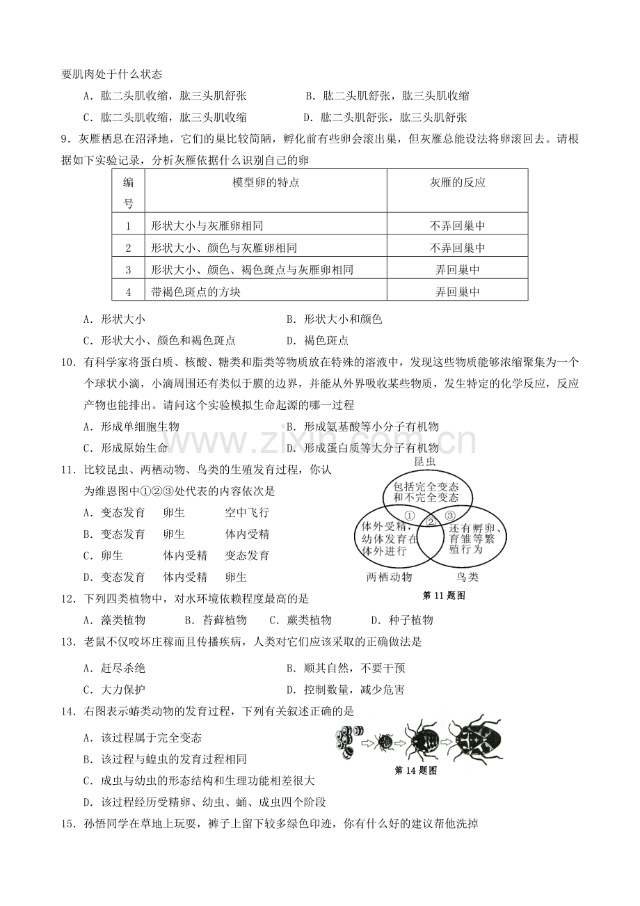 初二生物期中考试试卷.doc_第2页