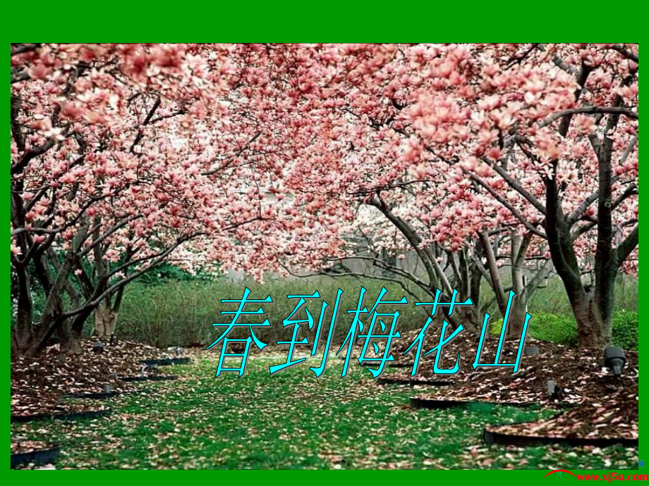 《春到梅花山》课件(苏教版一年级语文下册课件).ppt_第1页