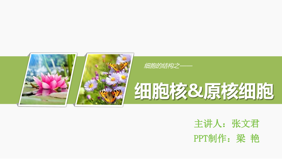 细胞核&原核细胞（终稿）.pptx_第1页