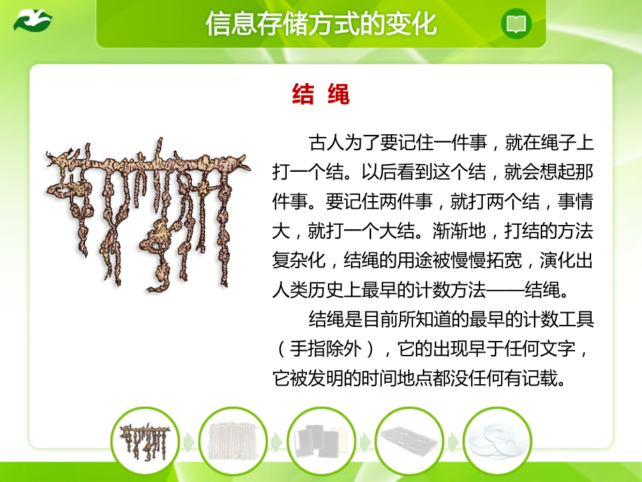 信息的存储与传递.pptx_第2页