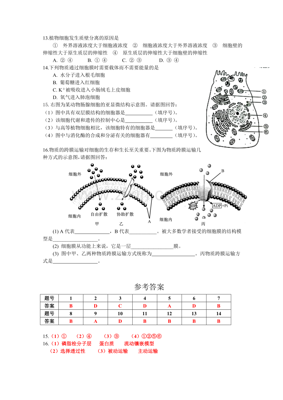 生物默写（12）对应练习.doc_第2页