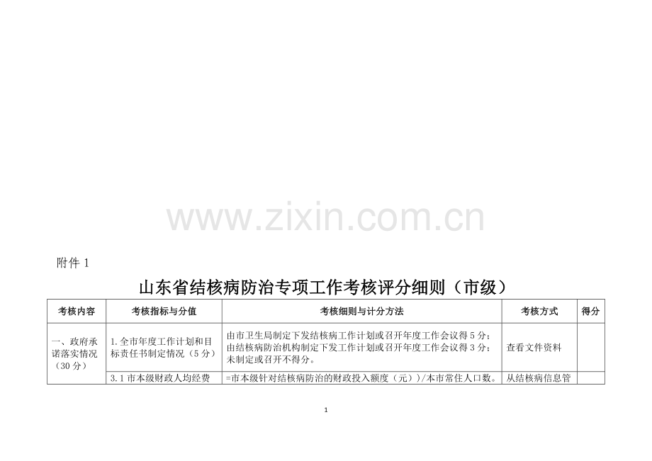 山东省结核病防治专项任务考察评分细则(市级).doc_第1页