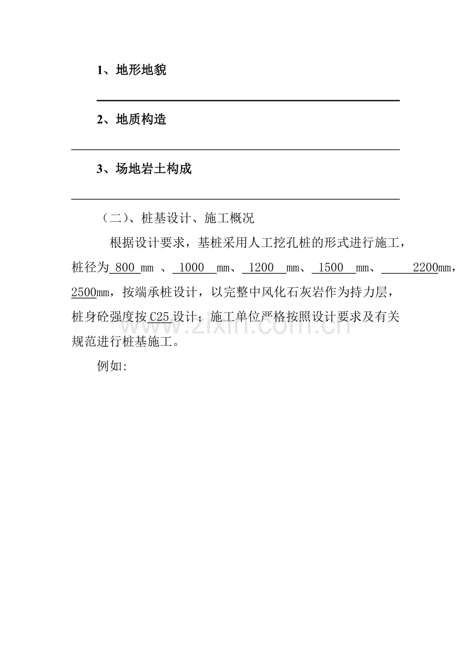 低应变检测信息传材料.doc_第2页