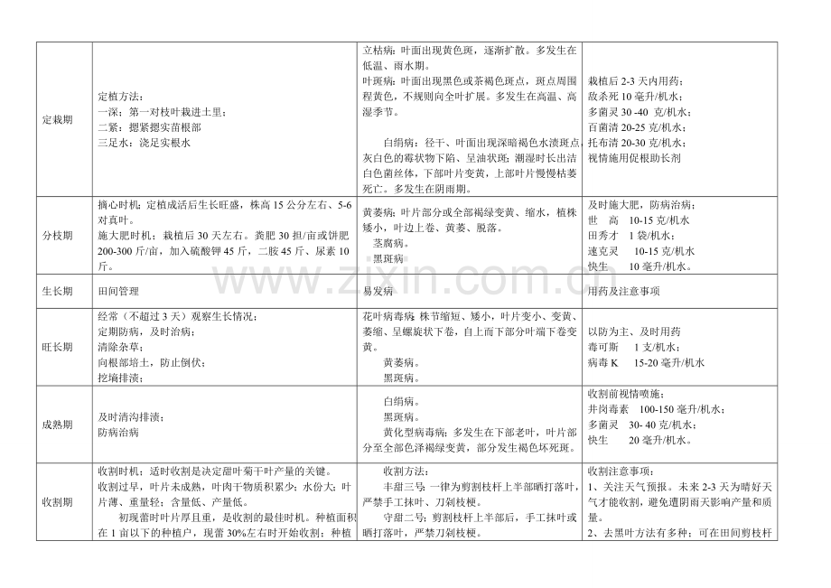 甜叶菊栽种技巧领导看法.doc_第2页