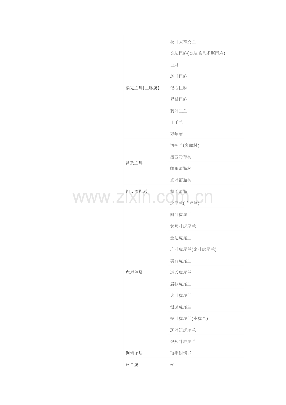 常见多肉植物种类名称及简介大全.doc_第2页
