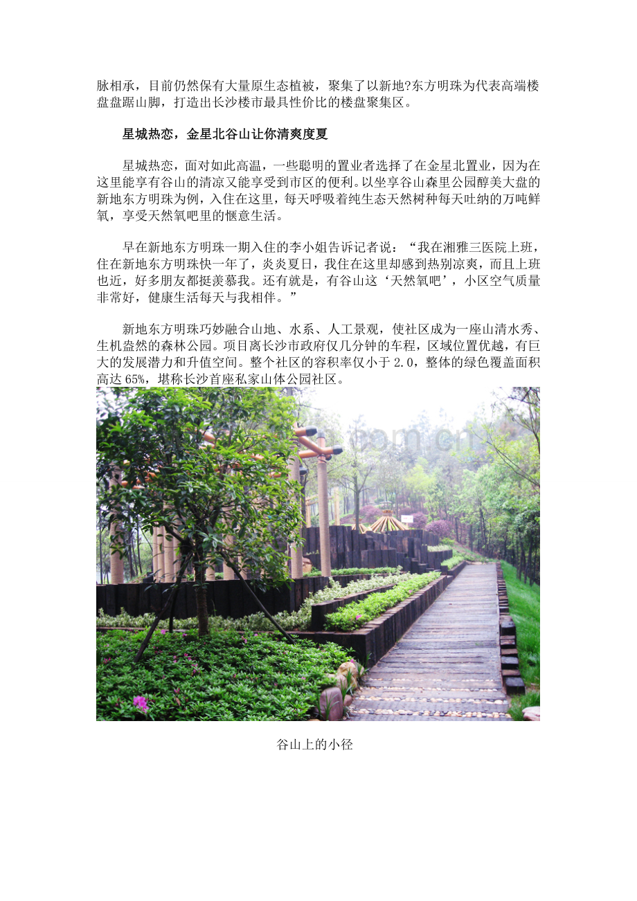 新地置业长沙项目“高温热恋”下“山房”热销.doc_第2页