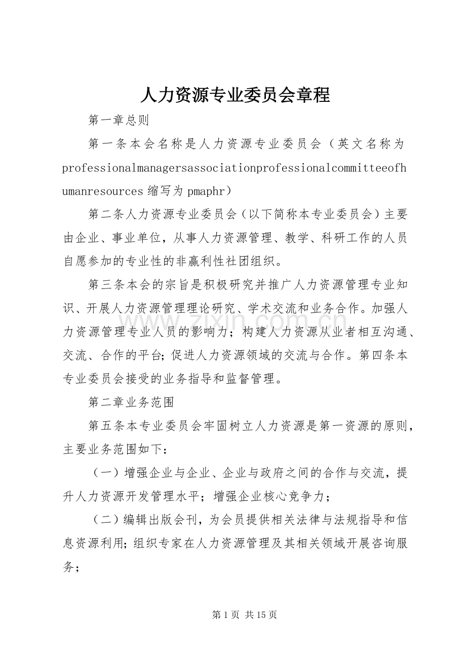 人力资源专业委员会章程.docx_第1页