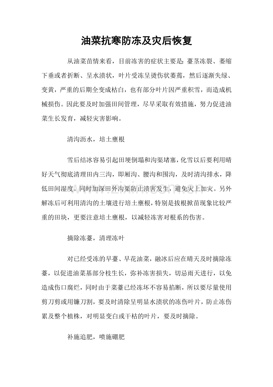 油菜抗寒防冻及灾后恢复.doc_第1页