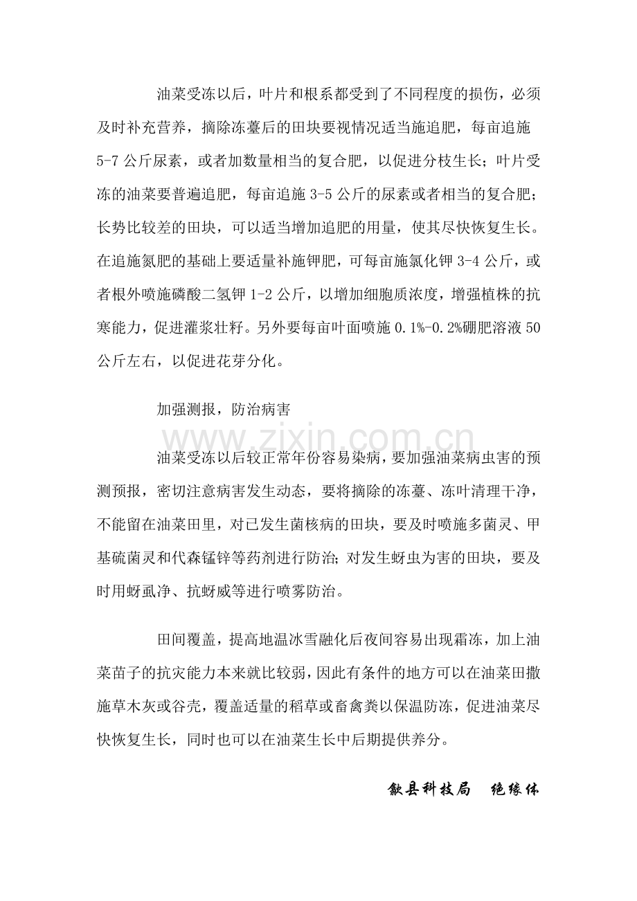 油菜抗寒防冻及灾后恢复.doc_第2页