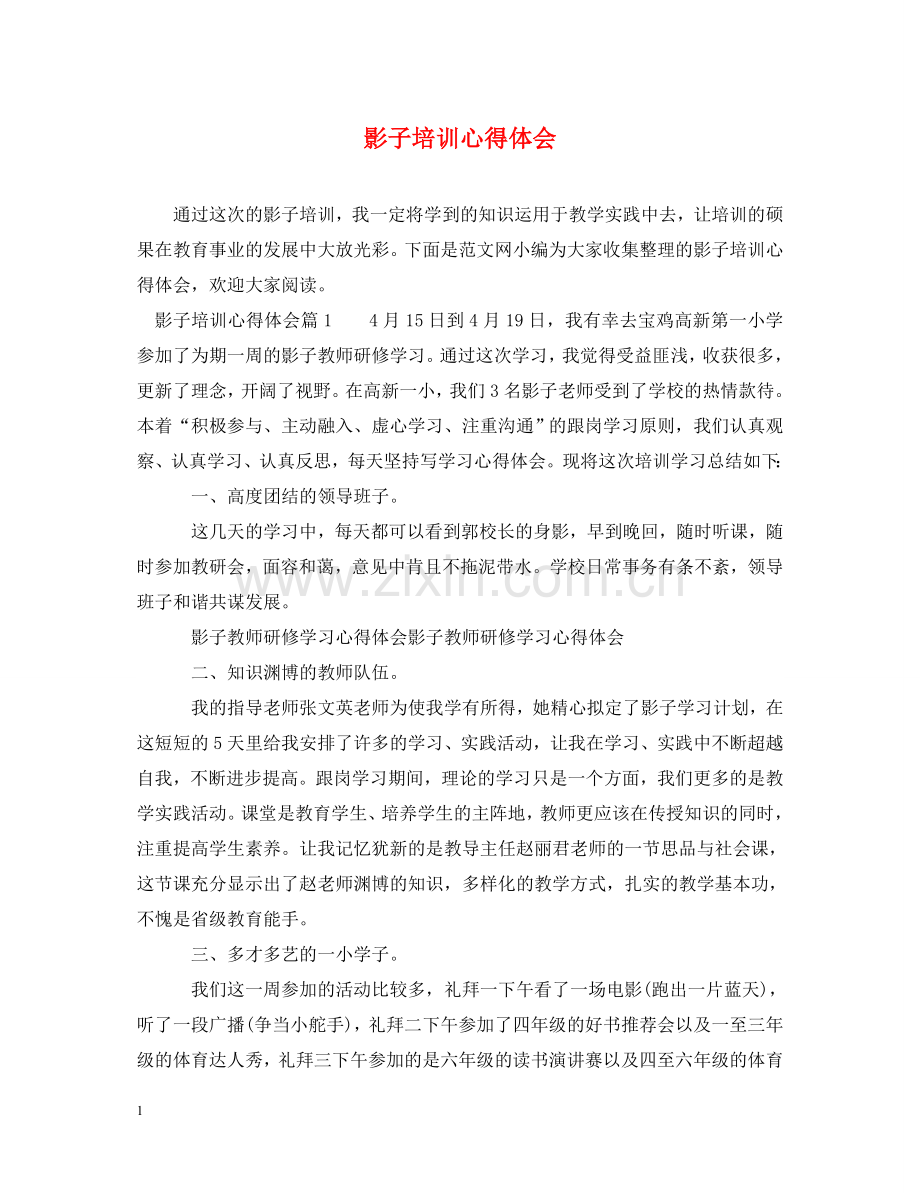 影子培训心得体会 (000001).doc_第1页