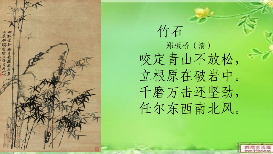 石缝间的生命教学课件.pptx_第2页