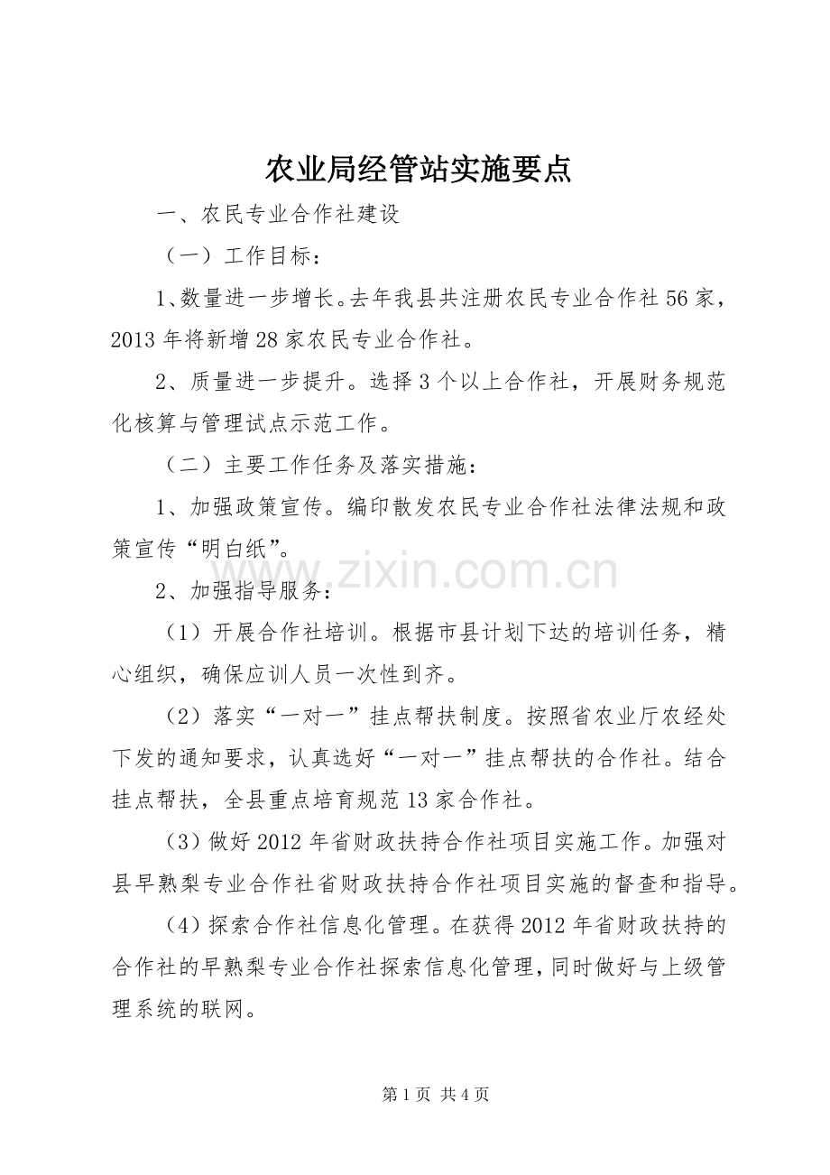农业局经管站实施要点.docx_第1页